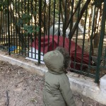 Εικόνα εγκατάλειψης στο Λόφο του Στρέφη